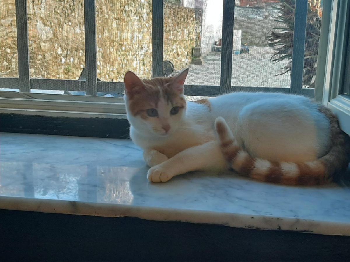 B&B Principe Calaf 3 Lukka Zewnętrze zdjęcie